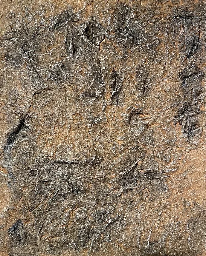 Béton design